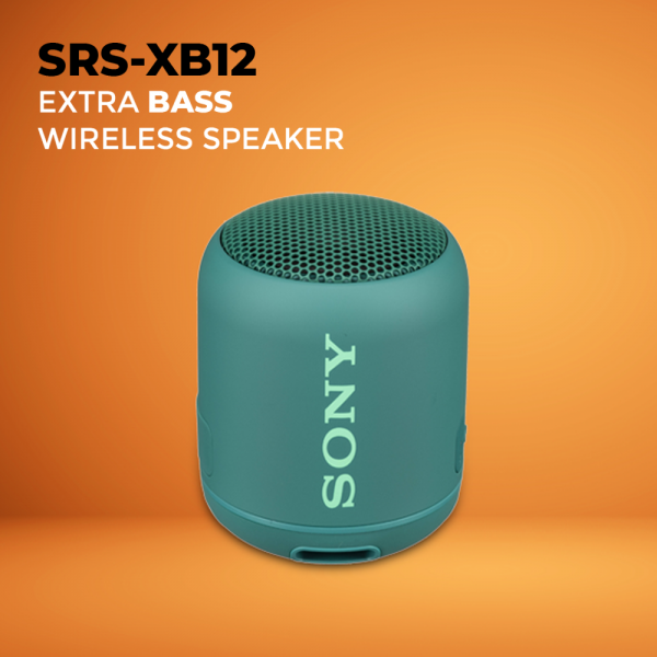 Sony SRS-XB12 Wireless... 